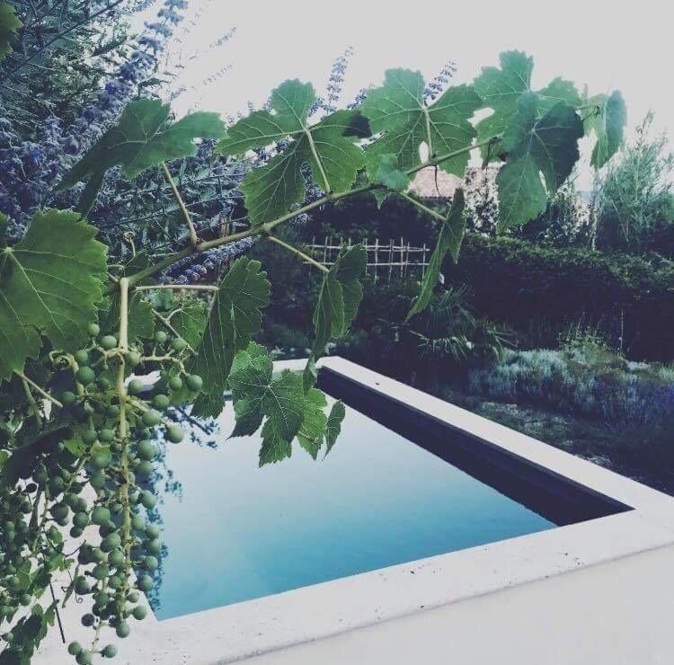 Domaine Fontaine Villa Visan Екстериор снимка